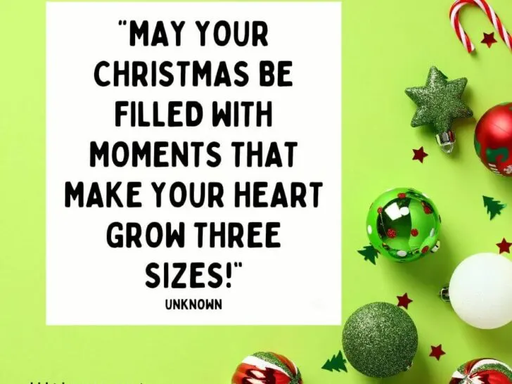 Christmas Grinch Quotes for kids