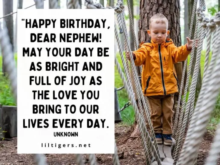 Nephew Birthday Quotes