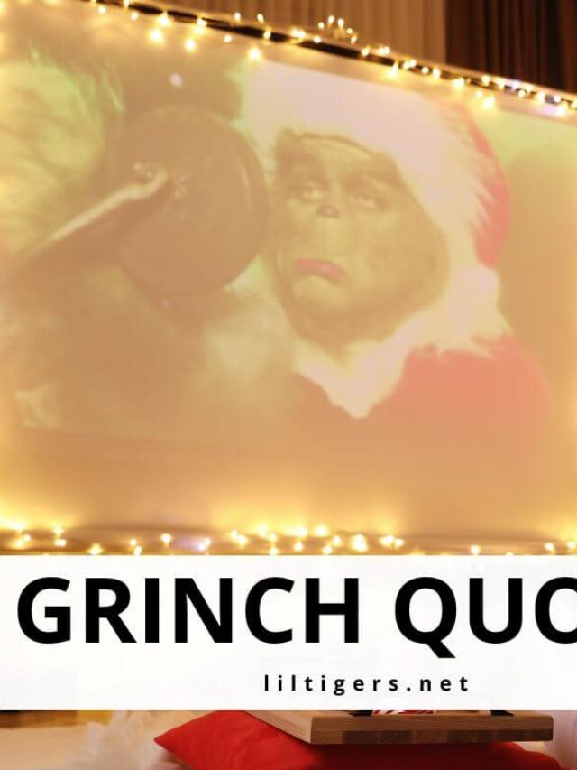 Grinch Quotes for Kids