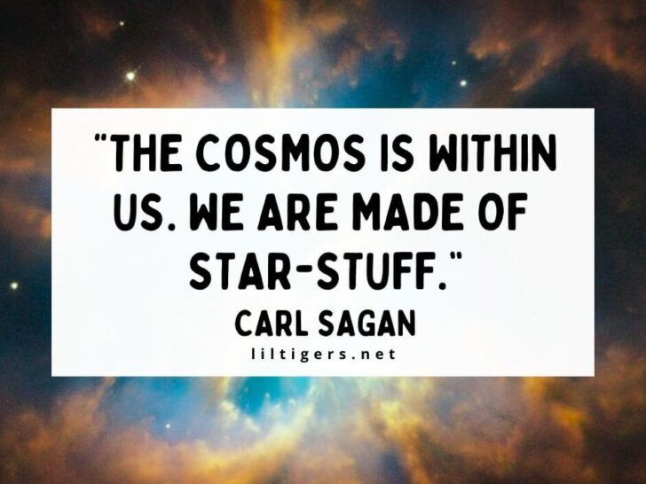 Quotes About Space