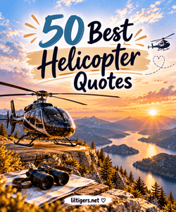 50 Best Helicopter Quotes for kids